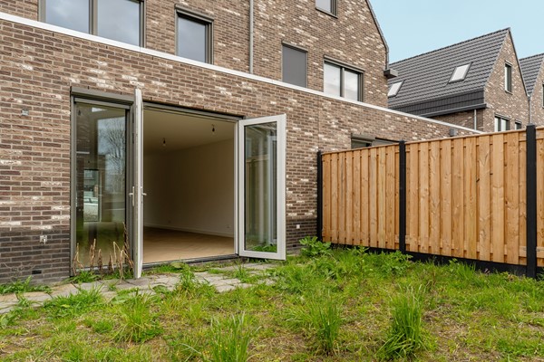 60-Moerasorchidee 13 - Lelystad.jpg